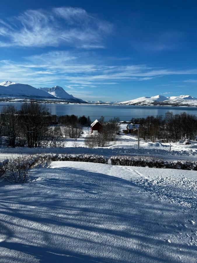 Liten Kjellerleilighet. Landlig Rolig Omrade. Tromsø Kültér fotó
